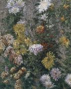 Gustave Caillebotte White and yellow chrysanthemum oil painting
